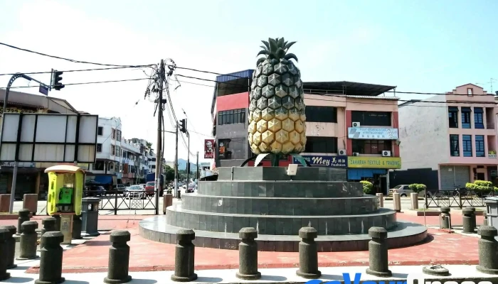 Pekan Nanas -  Meditasi - Pekan Nanas