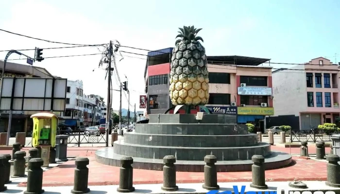 Pekan Nanas - Pekan Nanas