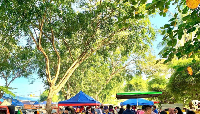 Pekan Sehari Temerloh -  Ulasan - Temerloh