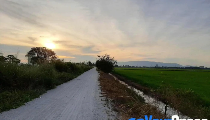 Permatang Pauh -  Kesedaran Minda - Permatang Pauh