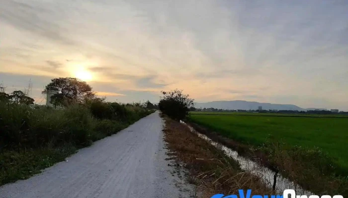 Permatang Pauh - Permatang Pauh