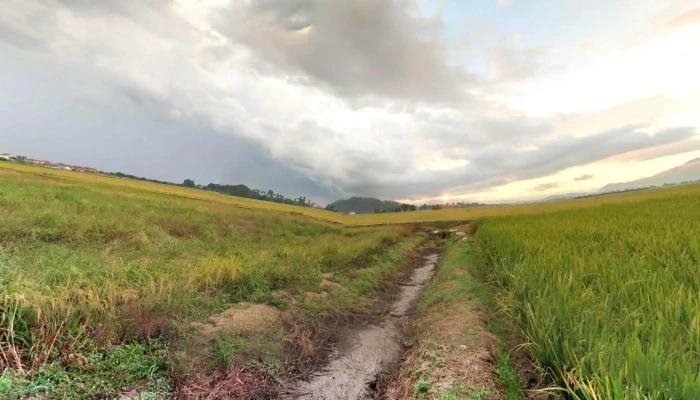 Permatang Pauh -  Street View 360deg - Permatang Pauh