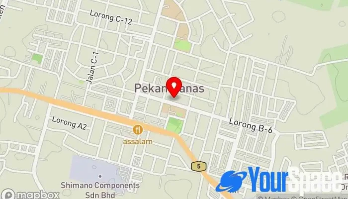 Persatuan Buddhist Pekan Nanas -  Peta - Pekan Nanas