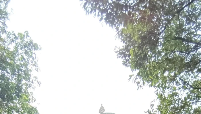 Peyaram Tangkak Buddhist Temple -  Lokasi - Tangkak