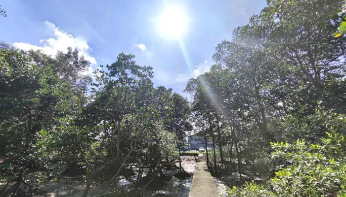 Pontian Kecil -  Street View 360deg - Pontian