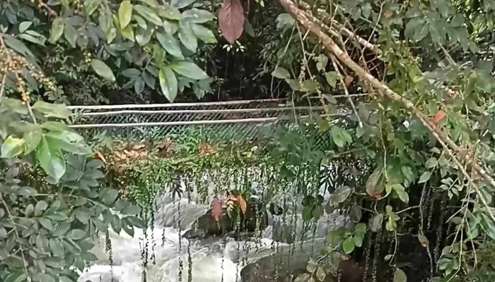 Poring Hot Spring -  Instagram - Ranau