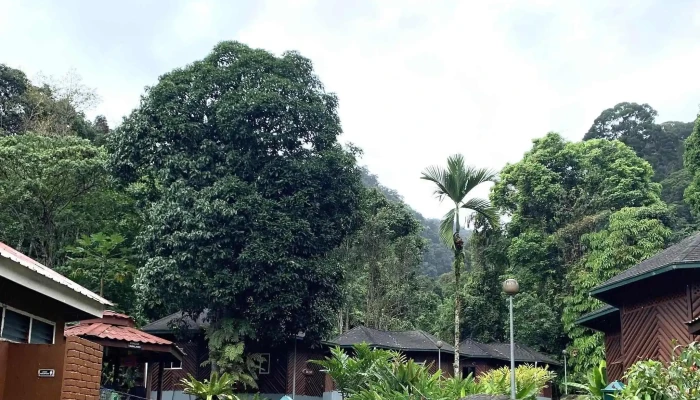 Poring Hot Spring -  Lokasi - Ranau
