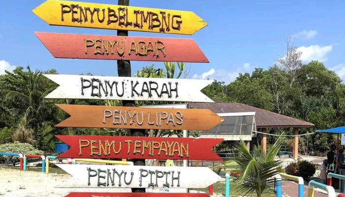 Pusat Konservasi Dan Penerangan Penyu Pkpp Segari Foto - Lumut