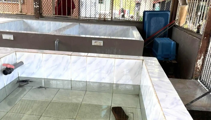 Pusat Konservasi Dan Penerangan Penyu Pkpp Segari Promosi - Lumut