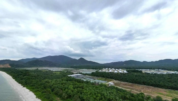 Pusat Konservasi Dan Penerangan Penyu Pkpp Segari Street View 360deg - Lumut