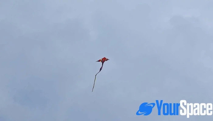 Pusat Latihan Awam Selangor -  Video - Banting