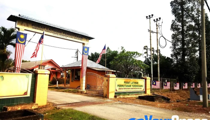 Pusat Latihan Perhutanan Terengganu -  Perkhidmatan Perhutanan - Kuala Berang
