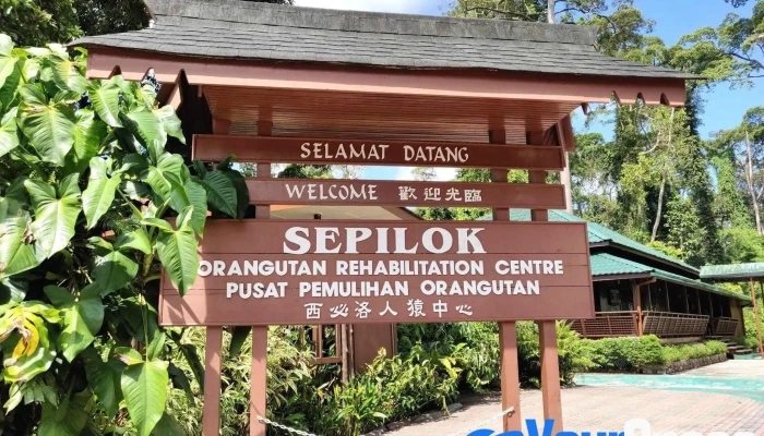 Pusat Pemuliharaan Orang Utan Sepilok - Jalan