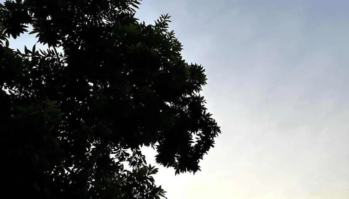 Putra Heights -  Oleh Pemilik - Subang Jaya