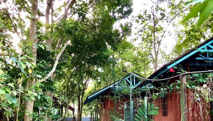 Sammaditthi Meditation Grove -  Harga - Sungai Petani