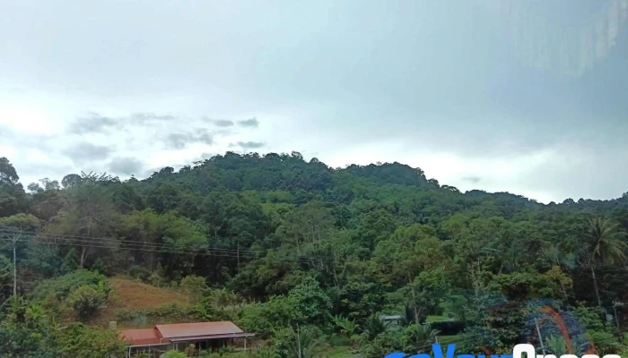 Sarawak Tourism Board - Level 4