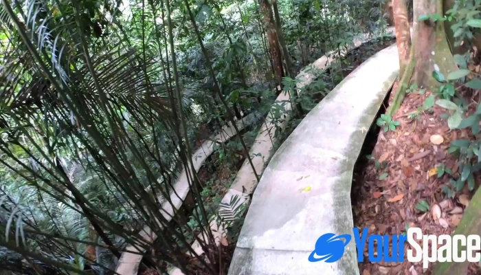 Sekeping Serendah Retreats -  Video - Serendah