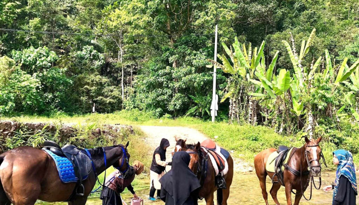 Serendah Equine Centre -  Buka Sekarang - Serendah