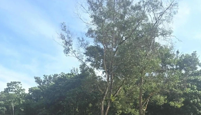Serendah Equine Centre -  Cara Ke Sana - Serendah