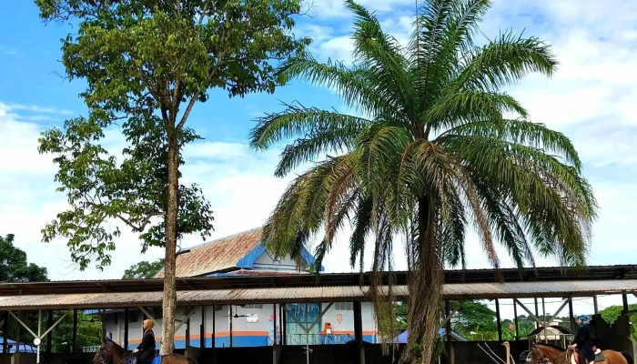 Serendah Equine Centre -  Laman Web - Serendah