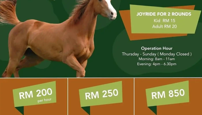 Serendah Equine Centre -  Oleh Pemilik - Serendah