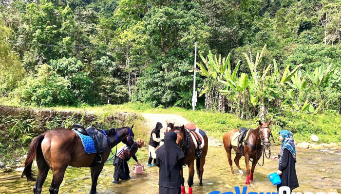 Serendah Equine Centre -  Padang Menunggang Kuda - Serendah