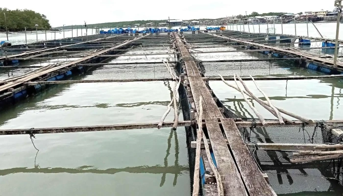 Sungai Limapulau Ketam Eco Tour Nombor - Klang
