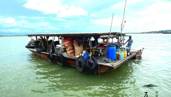 Sungai Limapulau Ketam Eco Tour Oleh Pemilik - Klang