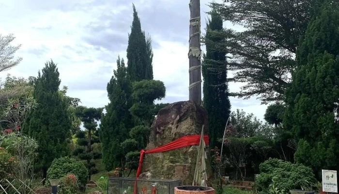 Sunrise Farm -  Daripada Pelawat - Segamat