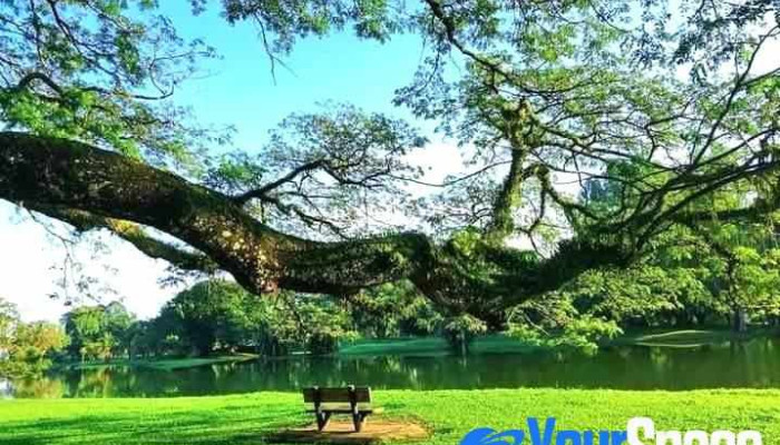 Taiping -  Kesedaran Minda - Taiping