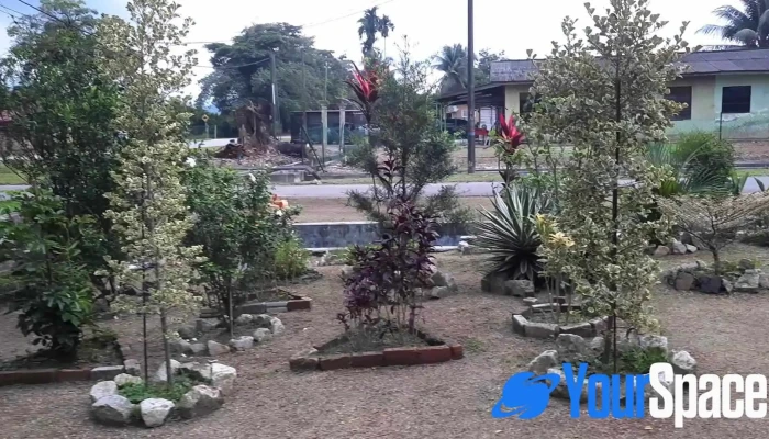 Taiping -  Video - Taiping