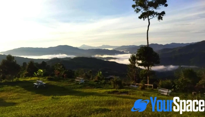 tambiau forest ranau - Kg. Kibbas