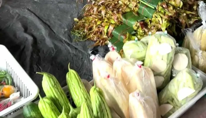 Tamu Kota Belud -  Video - Kota Belud