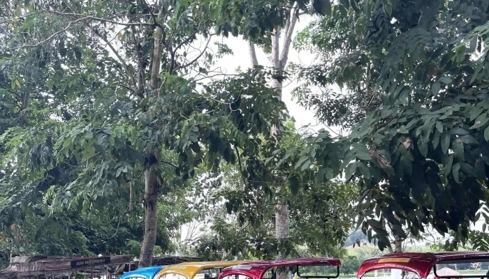 Tasik Darulaman Park -  Di Mana - Jitra