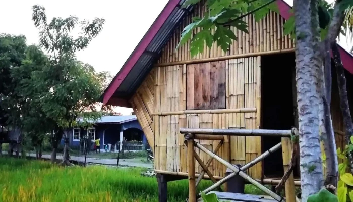 Taun Gusi Village Homestay -  Rumah Inap - Kota Belud
