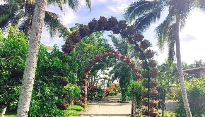 Teck Guan Cocoa Village Tawau Cocoa Cafe Skor - Tawau