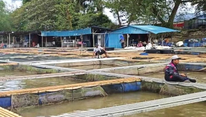 Teluk Intan Firefly Marvels River Cruise Perak -  Lokasi - Teluk Intan