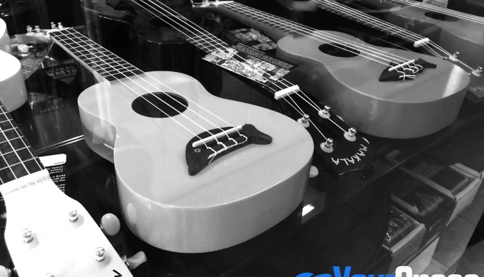 The Guitar House - 207g