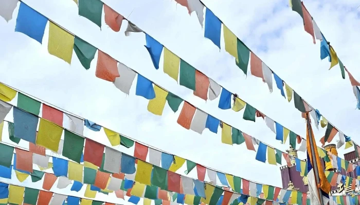 Thekchen Choling Malaysia Diskaun - Johor Darul Ta'zim