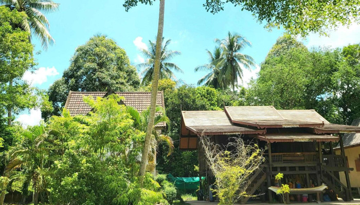Wat Phikulyai -  Instagram - Tumpat