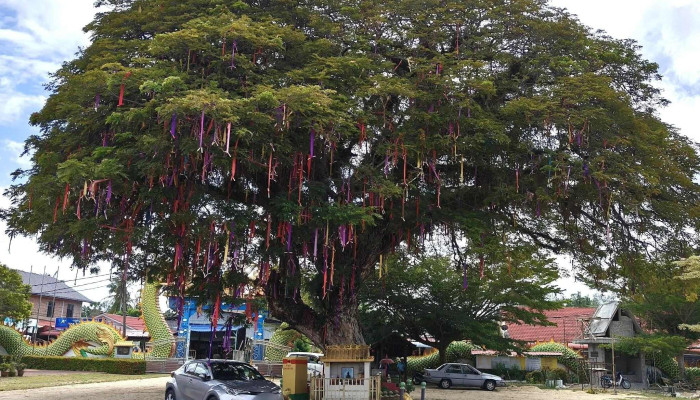 Wat Phothikyan Phutthaktham -  Skor - Kota Bharu