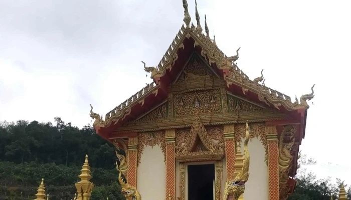 Wat Uthissak Thammo Wararam Gua Musang -  Instagram - Gua Musang