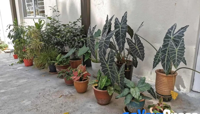 Women's Centre for Change (wcc), Pulau Pinang - Jalan Burma