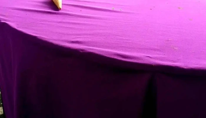Yayasan Ipoh -  Video - Ipoh