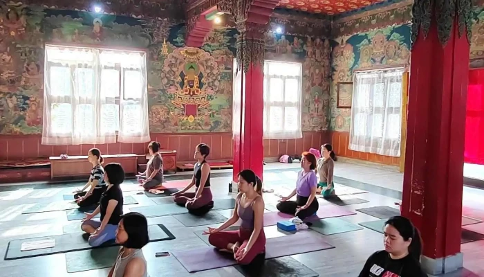 Zenn Yoga -  Yoga - Ipoh