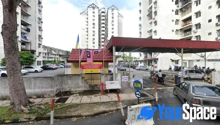 ZenVee Art of Therapy Academy - 11600 George Town