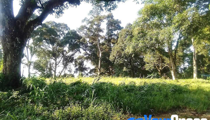 天安堂 • 准提菩萨 - Bukit Bakri